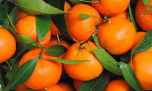bucce mandarino davanzale