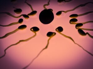 La patologia dello ‘sperma dolorante’